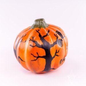 Pumpkin with Dark Forest Shadows