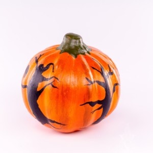 Pumpkin with Dark Forest Shadows