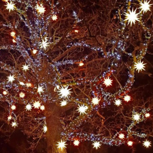 Herrnhut Plastic White Moravian Star Chain (12m)