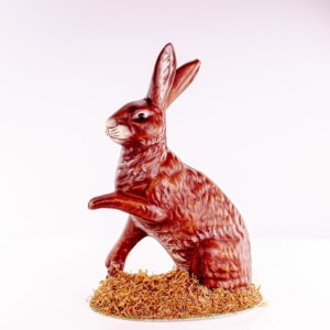 Ino Schaller Dark Brown Bunny Sitting On Grass Base