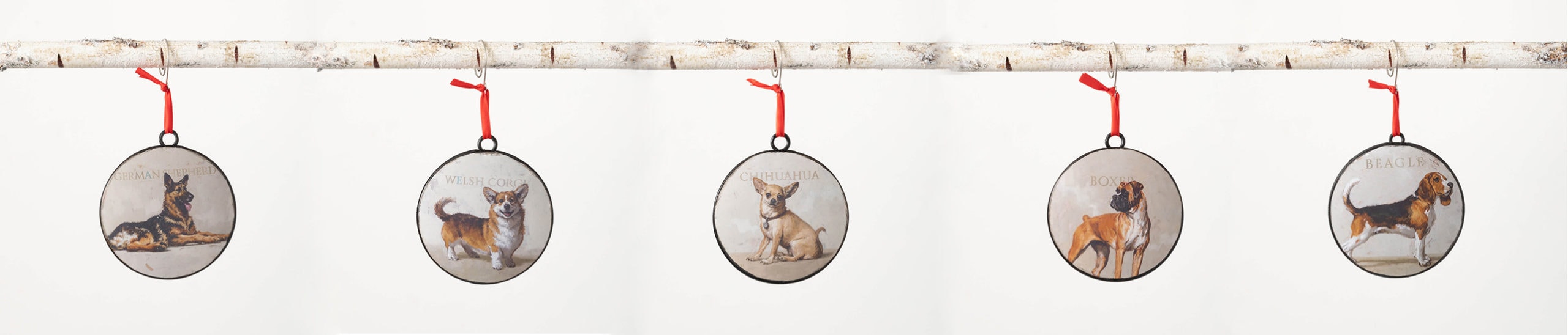 dogs2-9