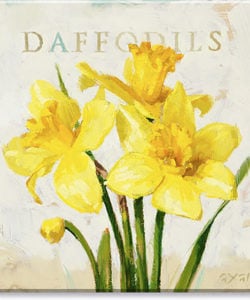 Daffodils Giclee Wall Art