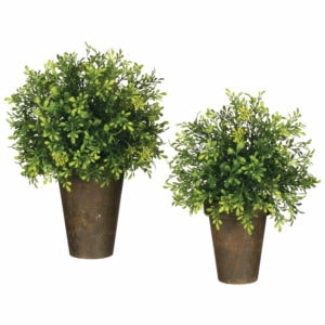 Tealeaf Berry Potted Orb