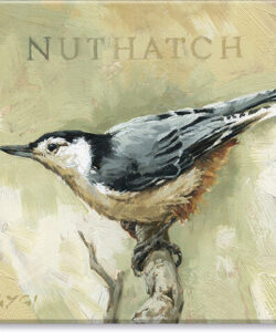 Nuthatch Giclee Wall Art