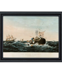 Sperm Whale in a Flurry Framed Print Behind Glass (11x14)