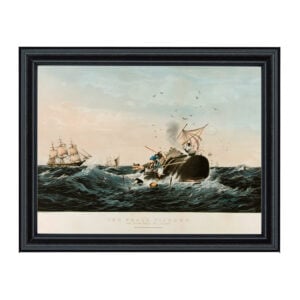 Sperm Whale in a Flurry Framed Print Behind Glass (11x14)