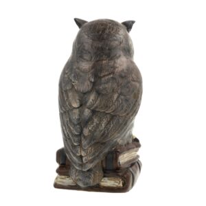 MAROLIN Owl On Books, Ltd.