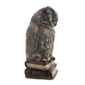 MAROLIN Owl On Books, Ltd.