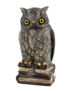 MAROLIN Owl On Books, Ltd.