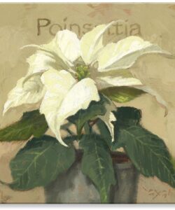 White Poinsettia Giclee Wall Art