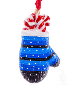 Christmas Mitten with Teddy