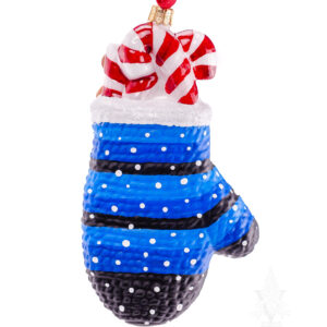 Christmas Mitten with Teddy