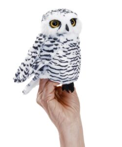 Small Snowy Owl