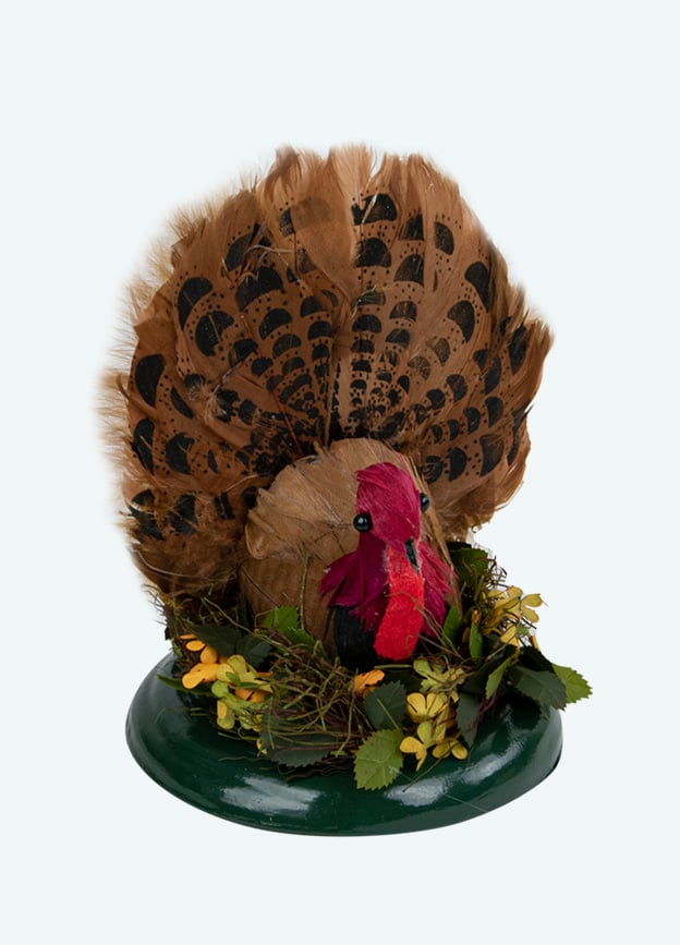 Turkey Byers
