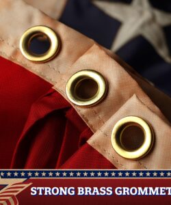 Fan Flag USA Tea-Stained Bunting