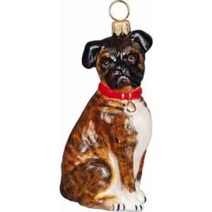 Boxer With Floppy Ears