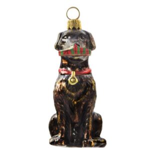 Black Lab With Slipper