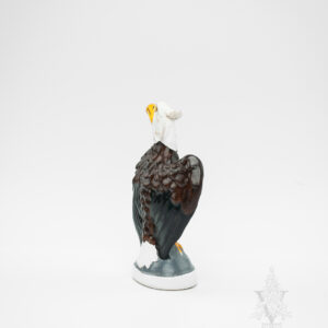 Small American Bald Eagle