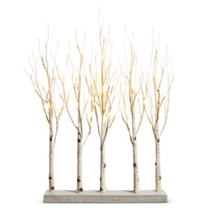 Lighted Birch Tree