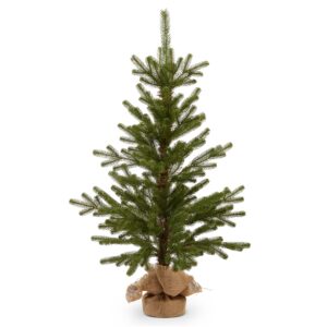 36" Noble Fir Tree in Burlap Bag