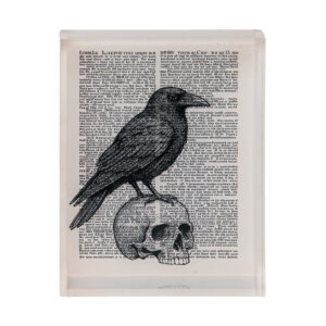 Acrylic Raven With Skull Block D?cor