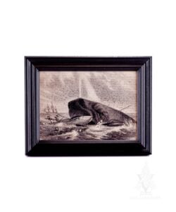 Framed "The Whale of Captain Delois"