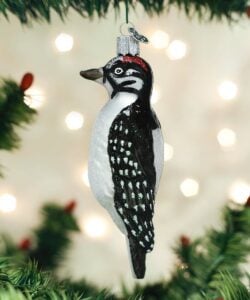 Hairy Woodpecker
