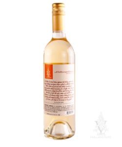 2025 Angel Sauvignon Blanc