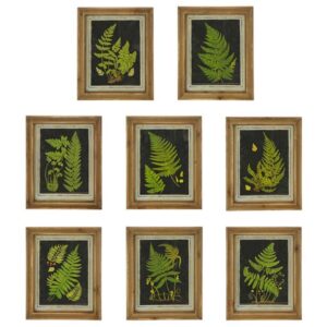 Fern Print Framed