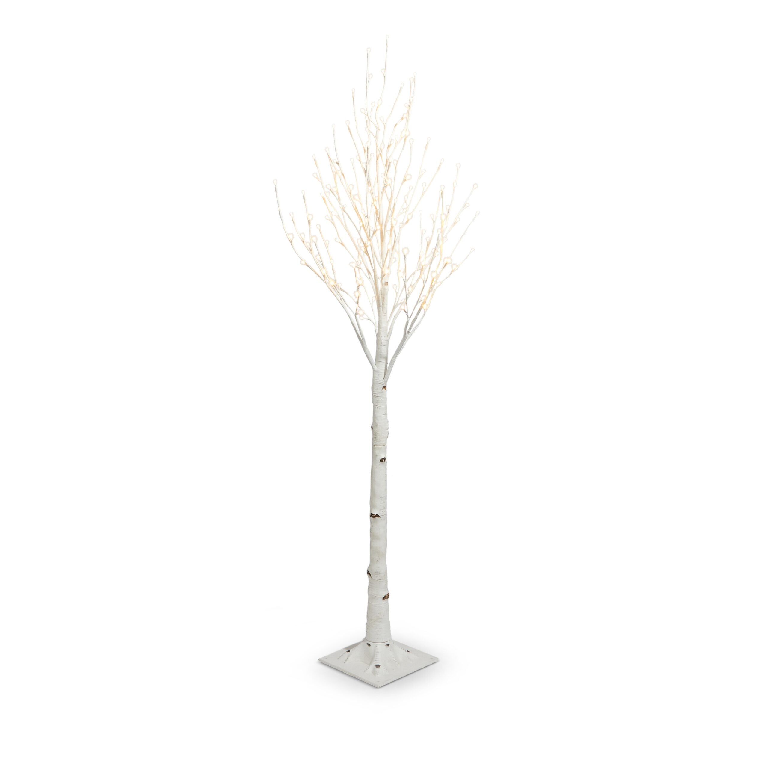 Lighted Birch Tree