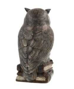 Marolin Owl On Books