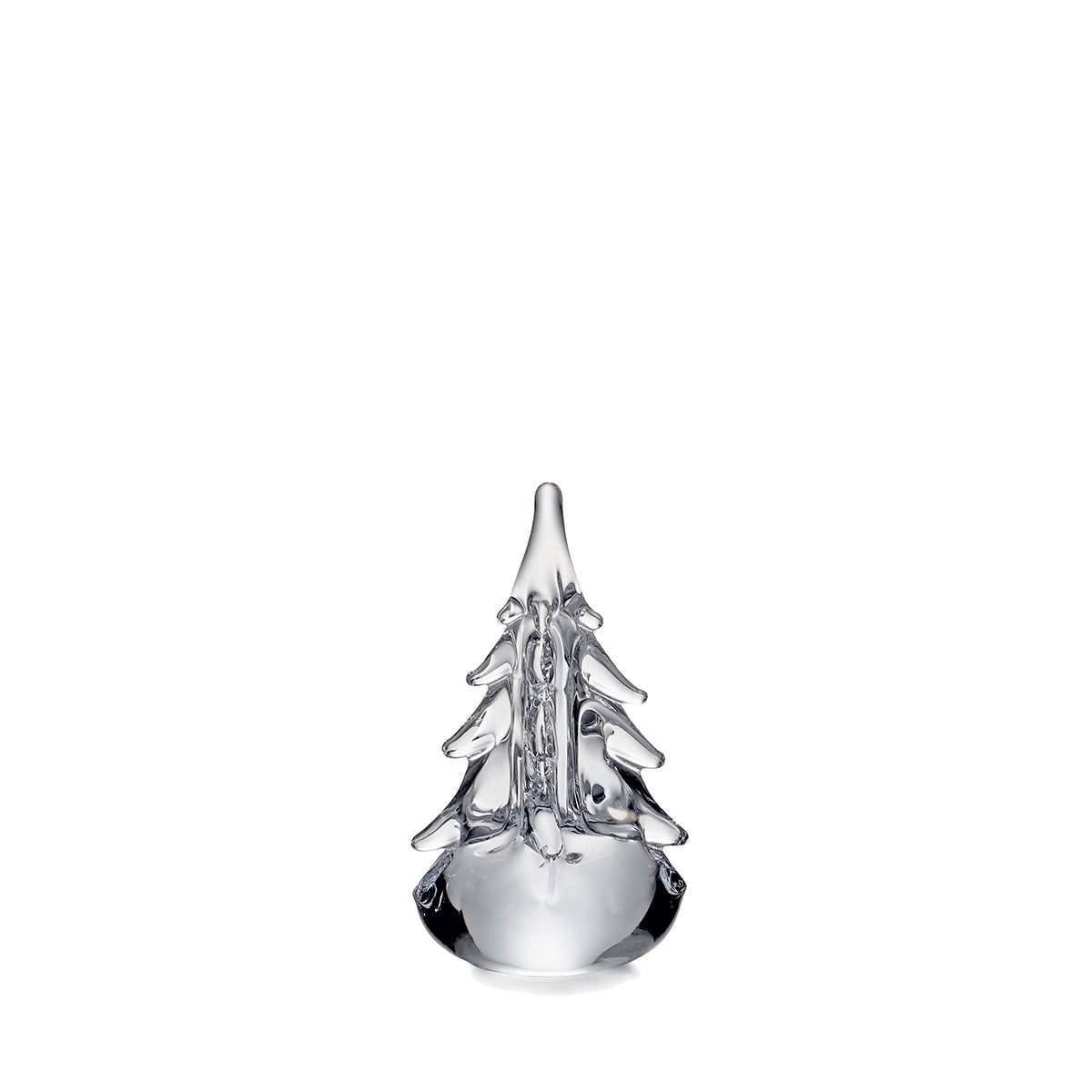 Five Sided Evergreen Boxed