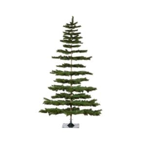 Eric Cortina Unlit Green Pine Tree
