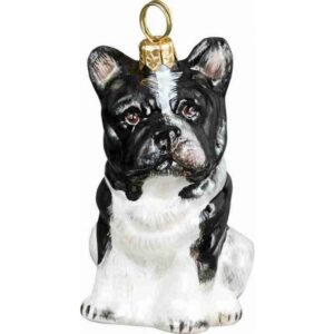 French Bull Dog B/W