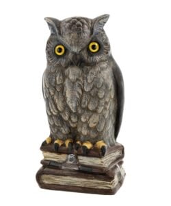 Marolin Owl On Books