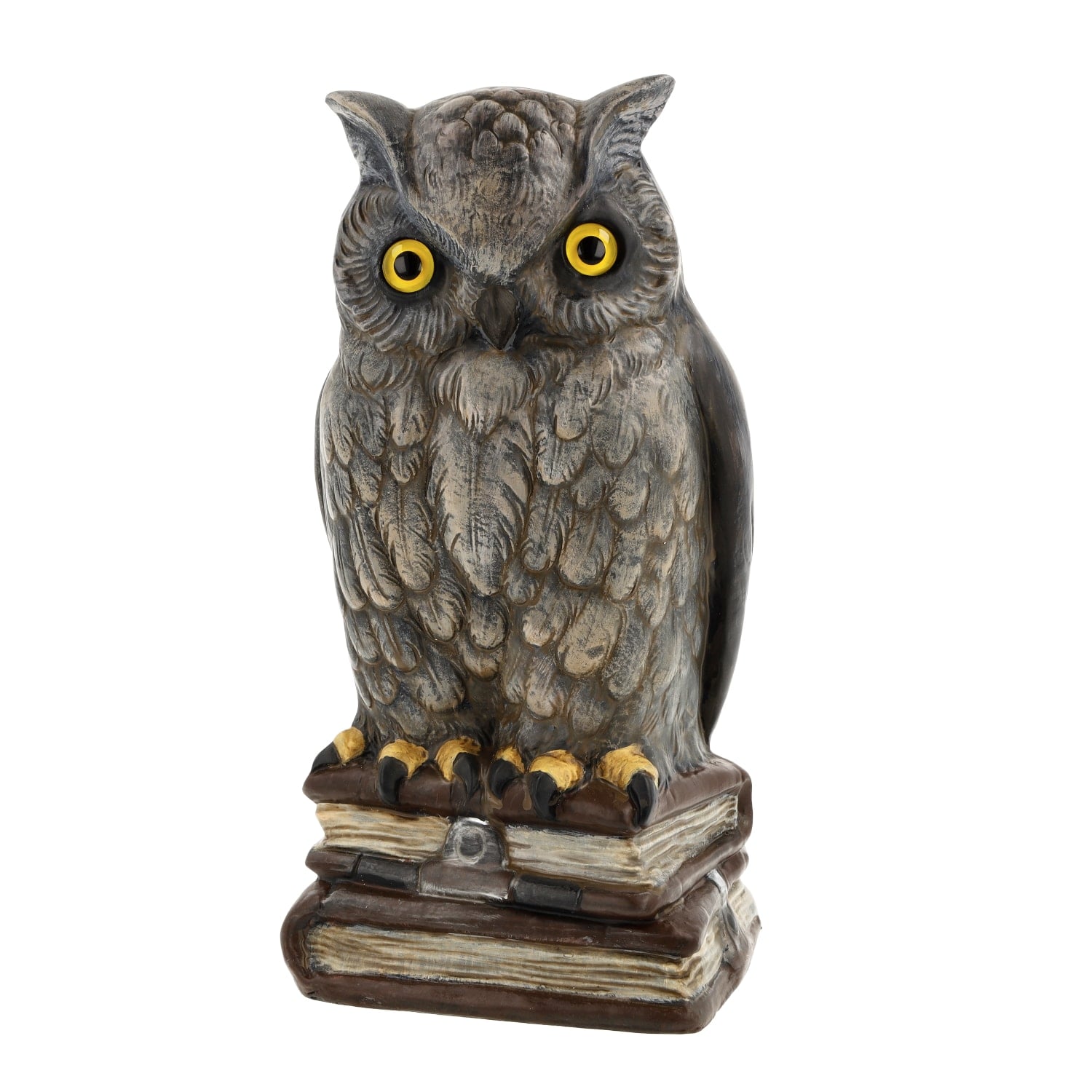 Marolin Owl On Books