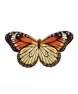 Field of Flowers Butterfly Viceroy