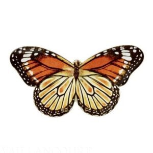 Field of Flowers Butterfly Viceroy