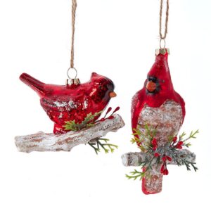 Glass Red Cardinal Ornament (Assorted)