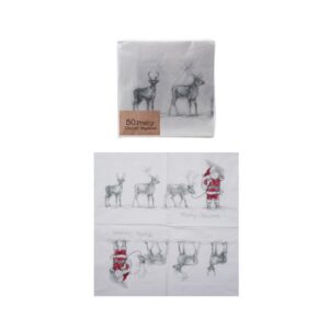 Paper Napkins Santa with Reindeer
